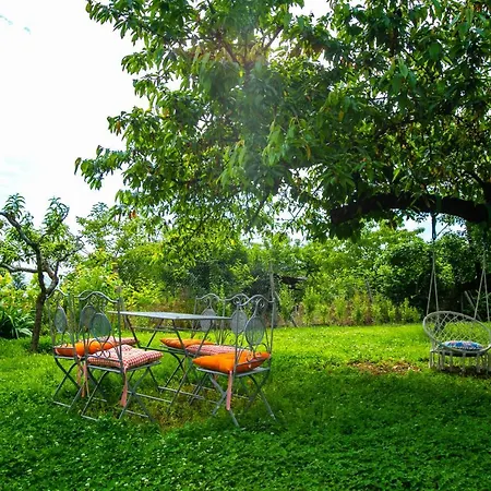 Villa кала Patalenica