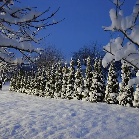 Villa кала Patalenica